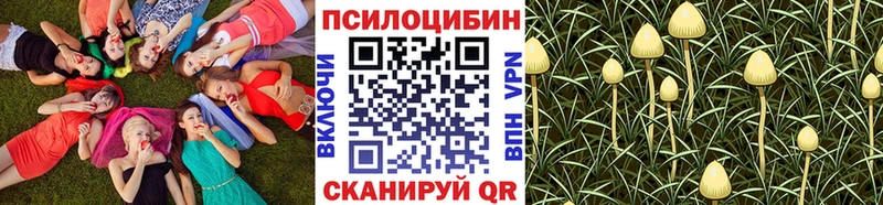 наркотики  блэк спрут ONION  Галлюциногенные грибы прущие грибы  Иланский 