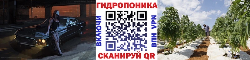 купить наркотик  Иланский  Бошки Шишки марихуана 